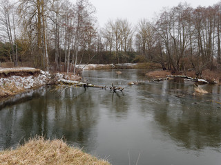the beginning of spring. wild fast river among the thickets