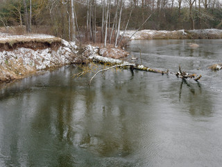 the beginning of spring. wild fast river among the thickets