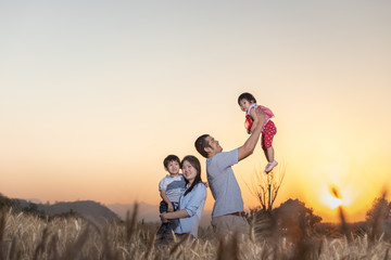 Family having fun and playing in a barley field in summer at sunset time.