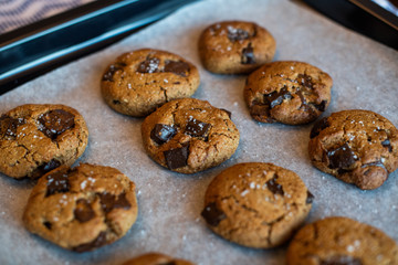 paleo chocolate chunk tahini cookie. salty cookie.