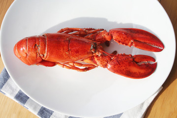 Freshly boiled lobster on a plate on wooden table