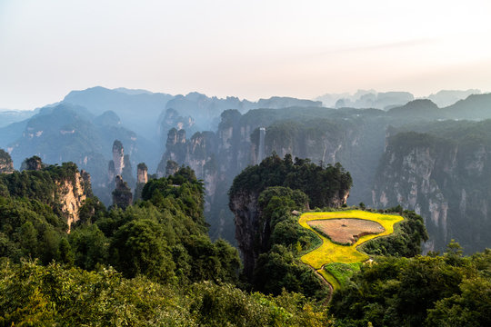 Spectacular rice terrace panorama in front of Laowuchang village, in Yuanjiajie area of Wulingyuan National Park, Zhangjiajie, China. This national park inspired “Avatar” movie