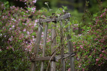 wooden trellis