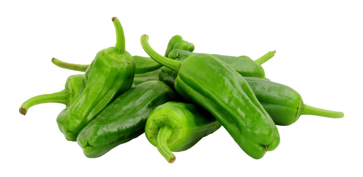Group of fresh raw green Mediterranean padron peppers isolated on a white background