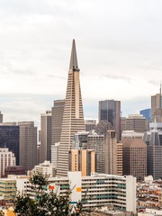 Obraz premium Panorama of the streets of San Francisco, visible tower Pyramid, skyscrapers, bridges and the ocean