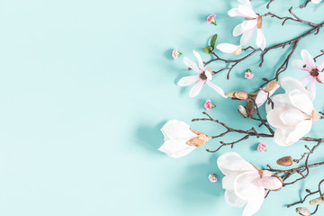 Flowers composition. Magnolia flowers on pastel blue background. Flat lay, top view, copy space
