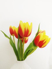Tulpen, minimalistisch, Colourfull