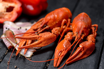  crayfish on a black background