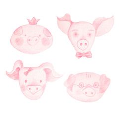 Illustration with cartoon muzzles of pink piglets.