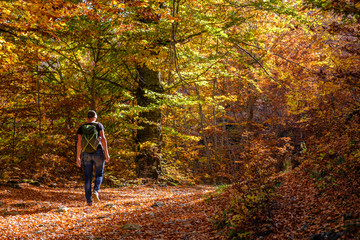 Woman hiking in colorful autumn forest in Dardha, Albania