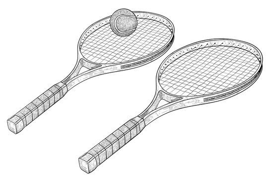 Tenis skech 2025