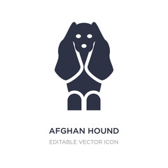 afghan hound icon on white background. Simple element illustration from Animals concept.