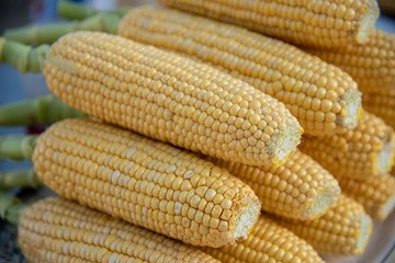 Fresh and healthy Corn starchy vegetable cereal grains.