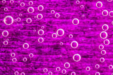 water drops on a surface pink 3