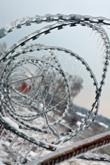 Fence with sharp barbed wire