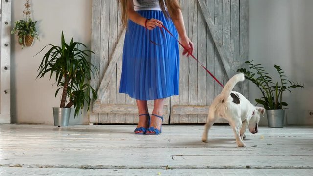 Puppy with pretty woman.