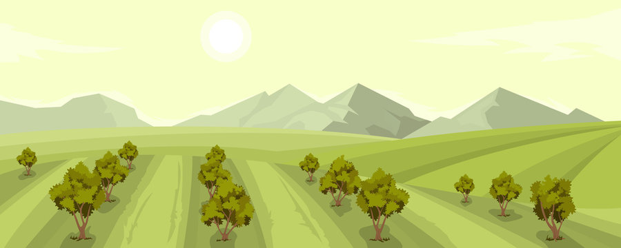 Rural summer landscape