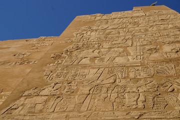 hieroglyph texture from Egypt karnak