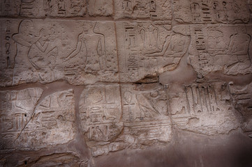 hieroglyph texture from Egypt karnak