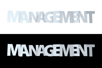 3D Management Text on White and Black Version