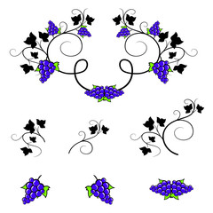 Set of wine frames and design elements. Grape decorative ornaments.