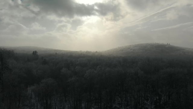 4k drone footage of snowy woodlands.