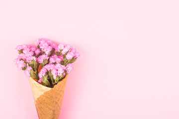 Spring pink and yellow flowers on a pink gentle background. Top view, flat lay, copy space