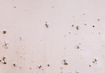 Old Wall with crack