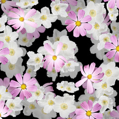 Beautiful floral background of white and pink flowers