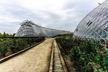 China Shanghai Botanical Garden 4