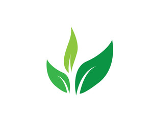 creative leaf green environment