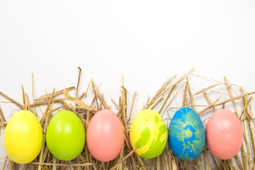 easter eggs concept. color eggs on white background.