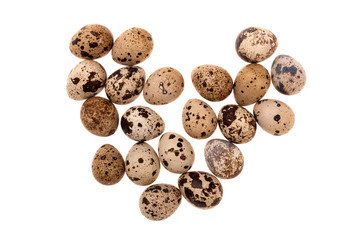 quail eggs on white