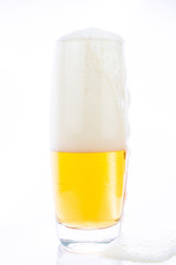 beer on white background