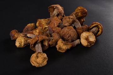 dry hericium on a dark background © Freer