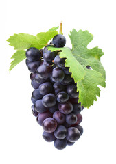 Grapes on a white background