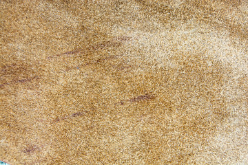 Untreated piece of genuine leather look from the inside out.