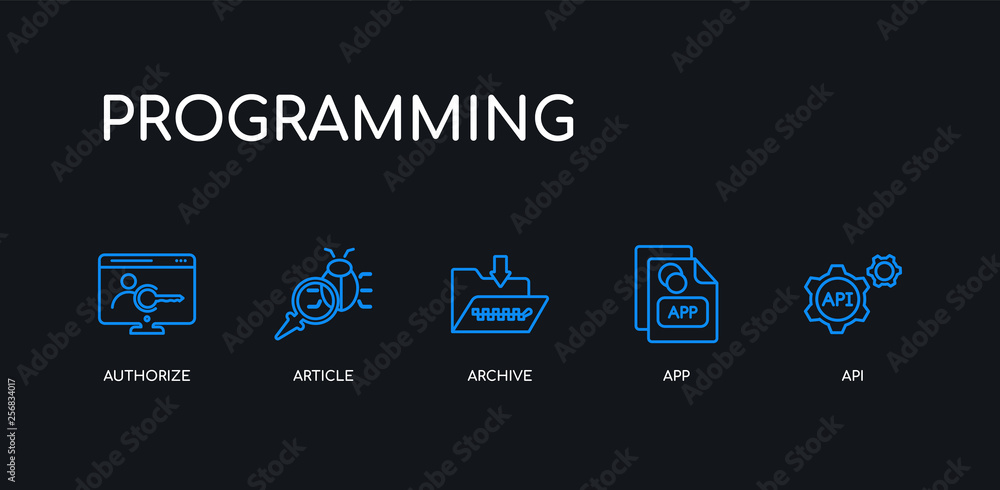 Poster 5 outline stroke blue api, app, archive, article, authorize icons from programming collection on bla