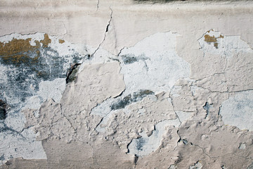 Background from high detailed fragment stone white wall