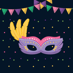 brazilian carnival mask with feathers