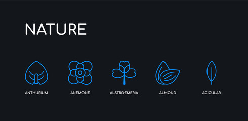 5 outline stroke blue acicular, almond, alstroemeria, anemone, anthurium icons from nature collection on black background. line editable linear thin icons.