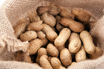 harvest of peanuts in the bag close up