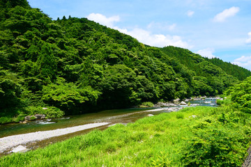 Fototapeta na wymiar 山間地の清流、アユ釣りの名所、気仙川。陸前高田　岩手　日本。７月上旬。