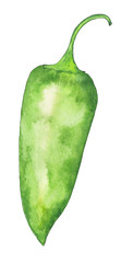 Jalapeno green