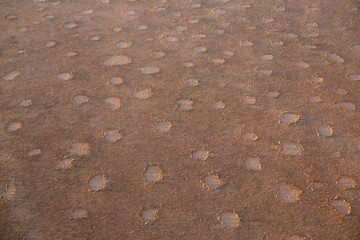 Fairy circles in the Namib desert, Namibia.