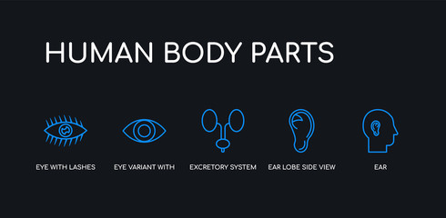 5 outline stroke blue ear, ear lobe side view, excretory system, eye variant with enlarged pupil, eye with lashes icons from human body parts collection on black background. line editable linear