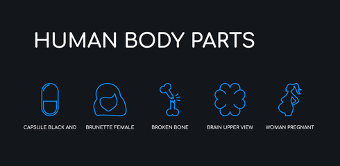 5 outline stroke blue woman pregnant, brain upper view, broken bone, brunette female woman long hair, capsule black and white variant icons from human body parts collection on black background. line