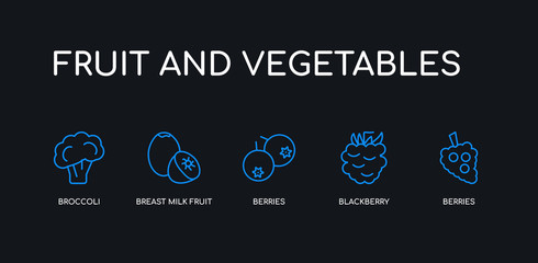 5 outline stroke blue berries, blackberry, berries, breast milk fruit, broccoli icons from fruit and vegetables collection on black background. line editable linear thin icons.