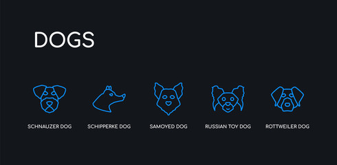 Naklejka premium 5 outline stroke blue rottweiler dog, russian toy dog, samoyed dog, schipperke schnauzer icons from dogs collection on black background. line editable linear thin icons.