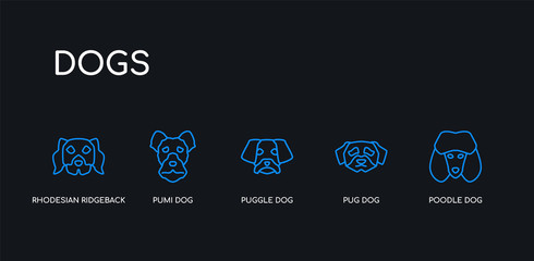 5 outline stroke blue poodle dog, pug dog, puggle dog, pumi rhodesian ridgeback icons from dogs collection on black background. line editable linear thin icons.